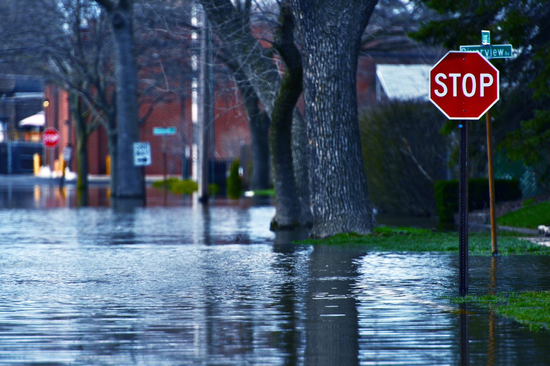 Flooded street, Rice University School of Social Sciences
