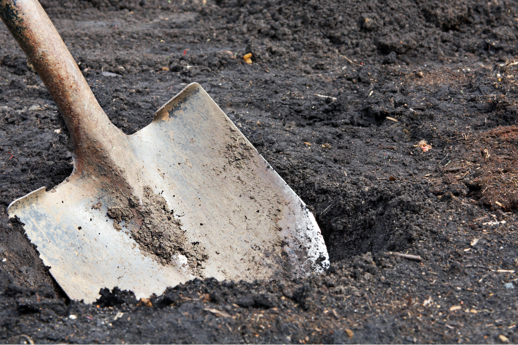 shovel in dirt