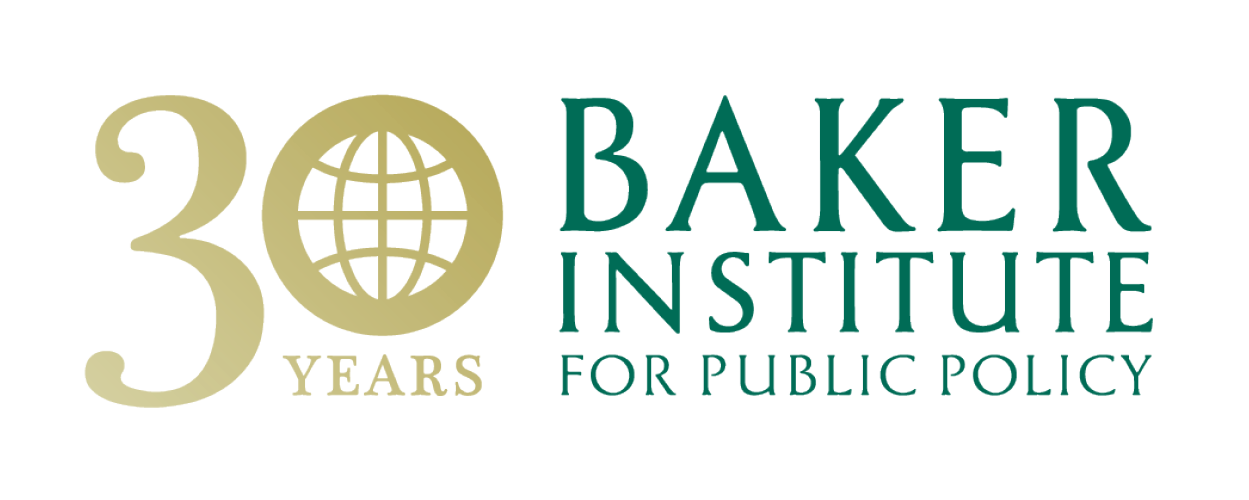 Baker Institute for Public Policy 30th Anniversary Logo