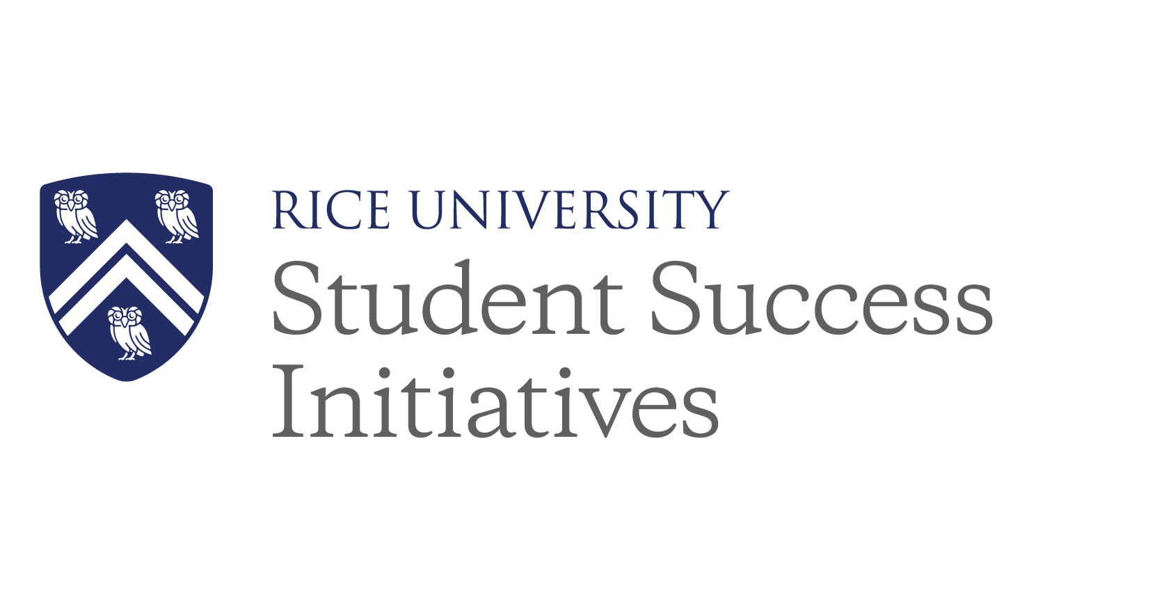 Rice University Student Success Initiatives