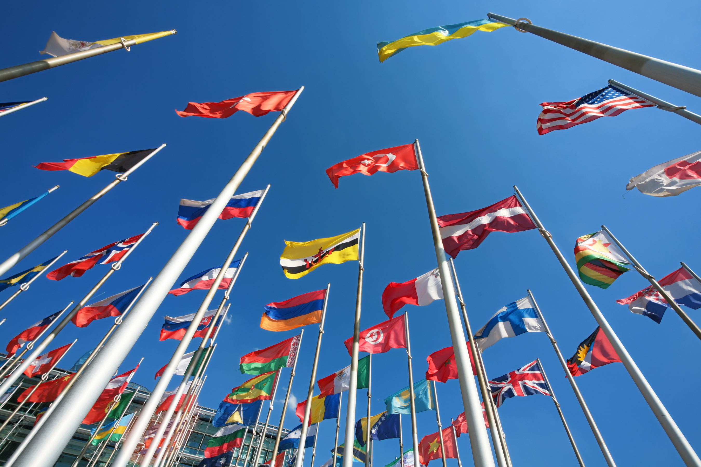 International flags, Rice University Master of Global Affairs