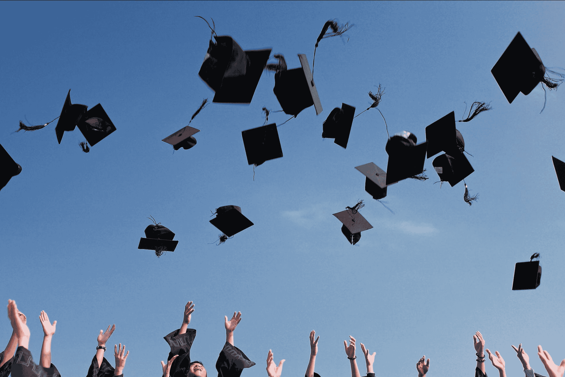 graduation caps in the air
